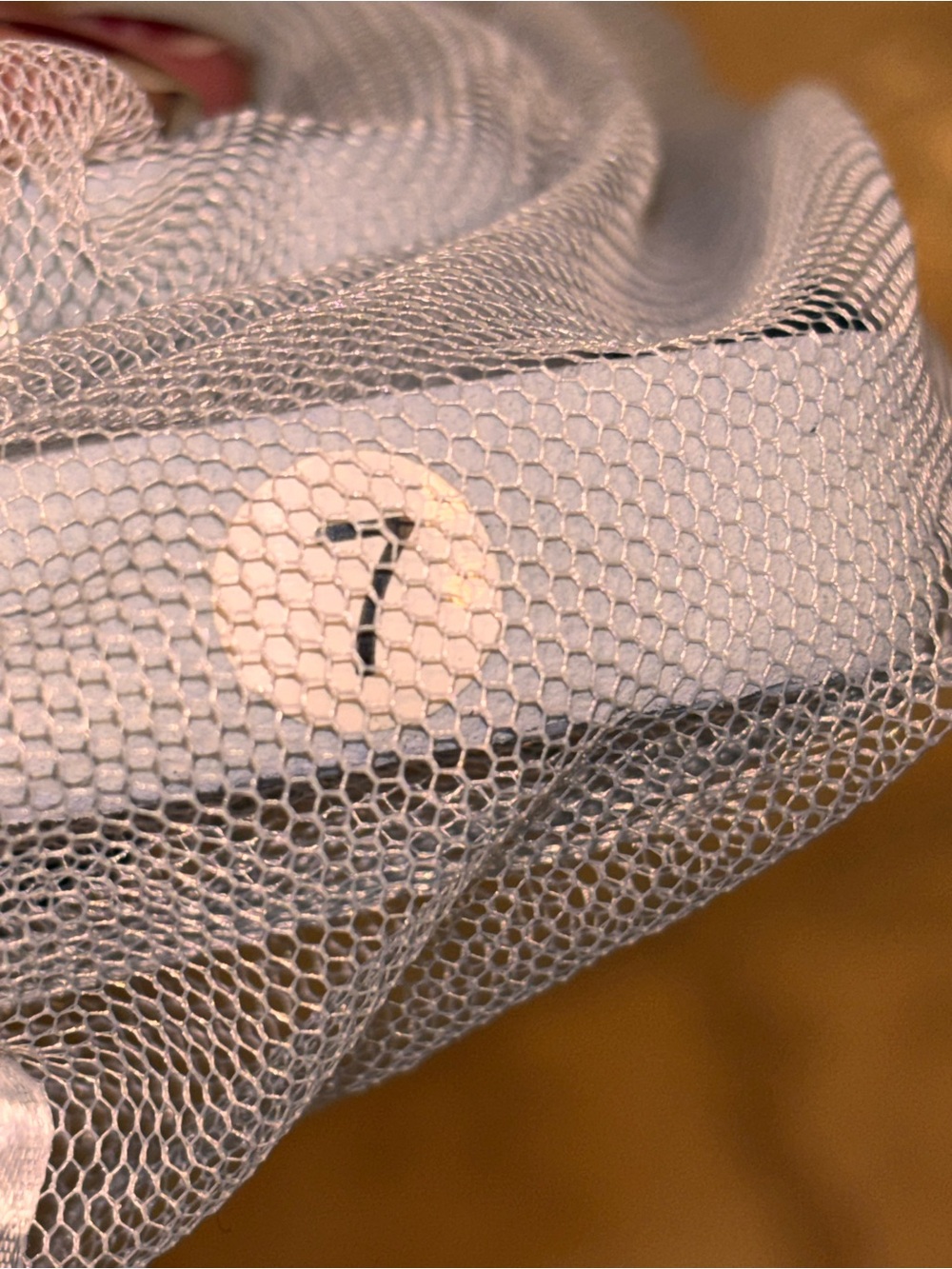 Flip flops - Picture 8 of 9